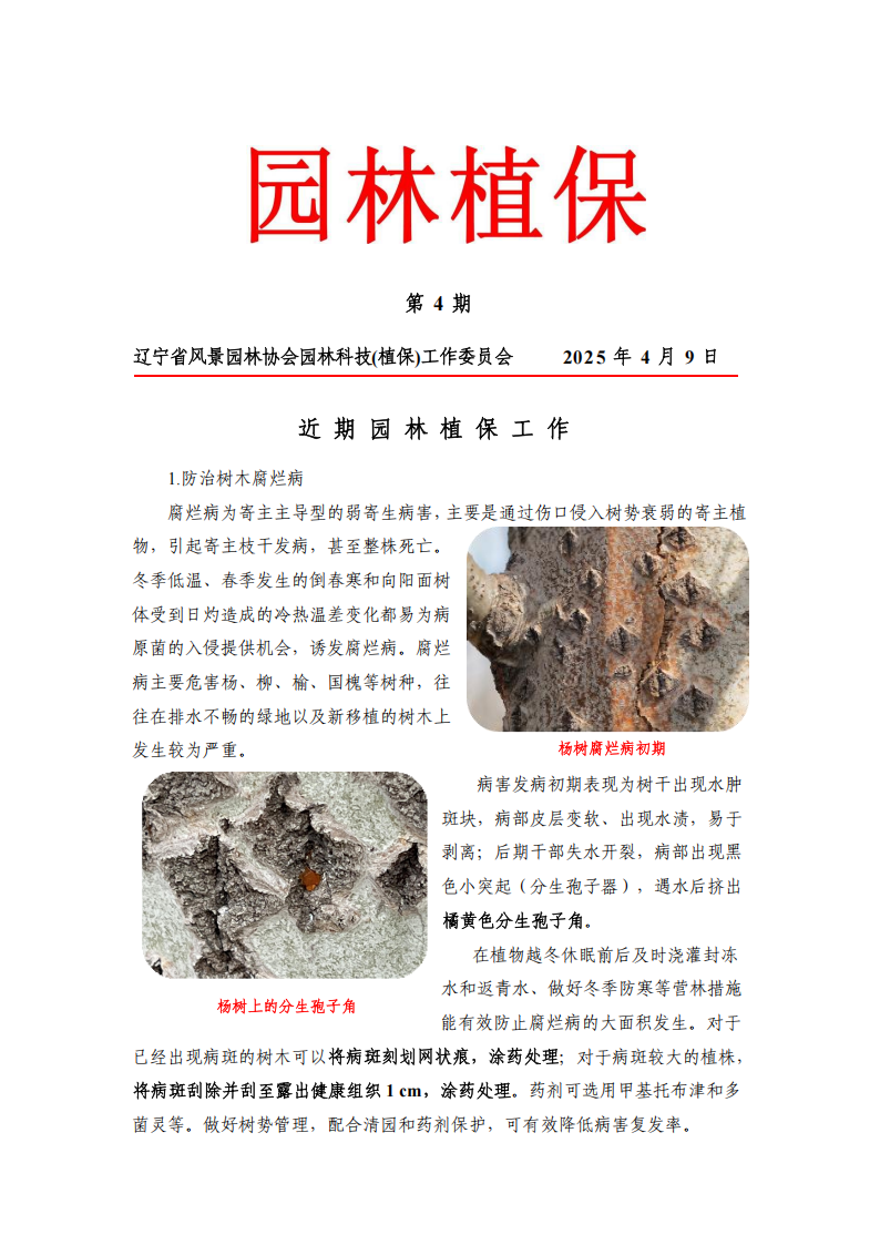 202504 协会_00(2).png