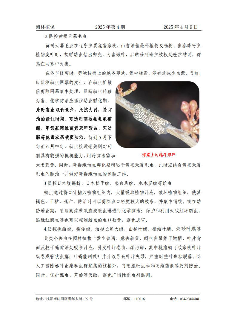 202504 协会_01(2).png