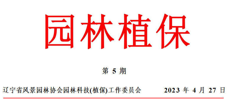 1683523817632.png