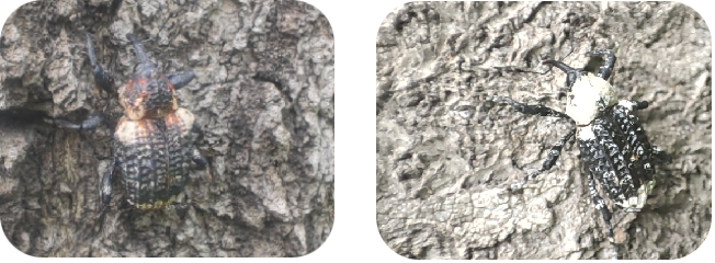 3.png 3.png