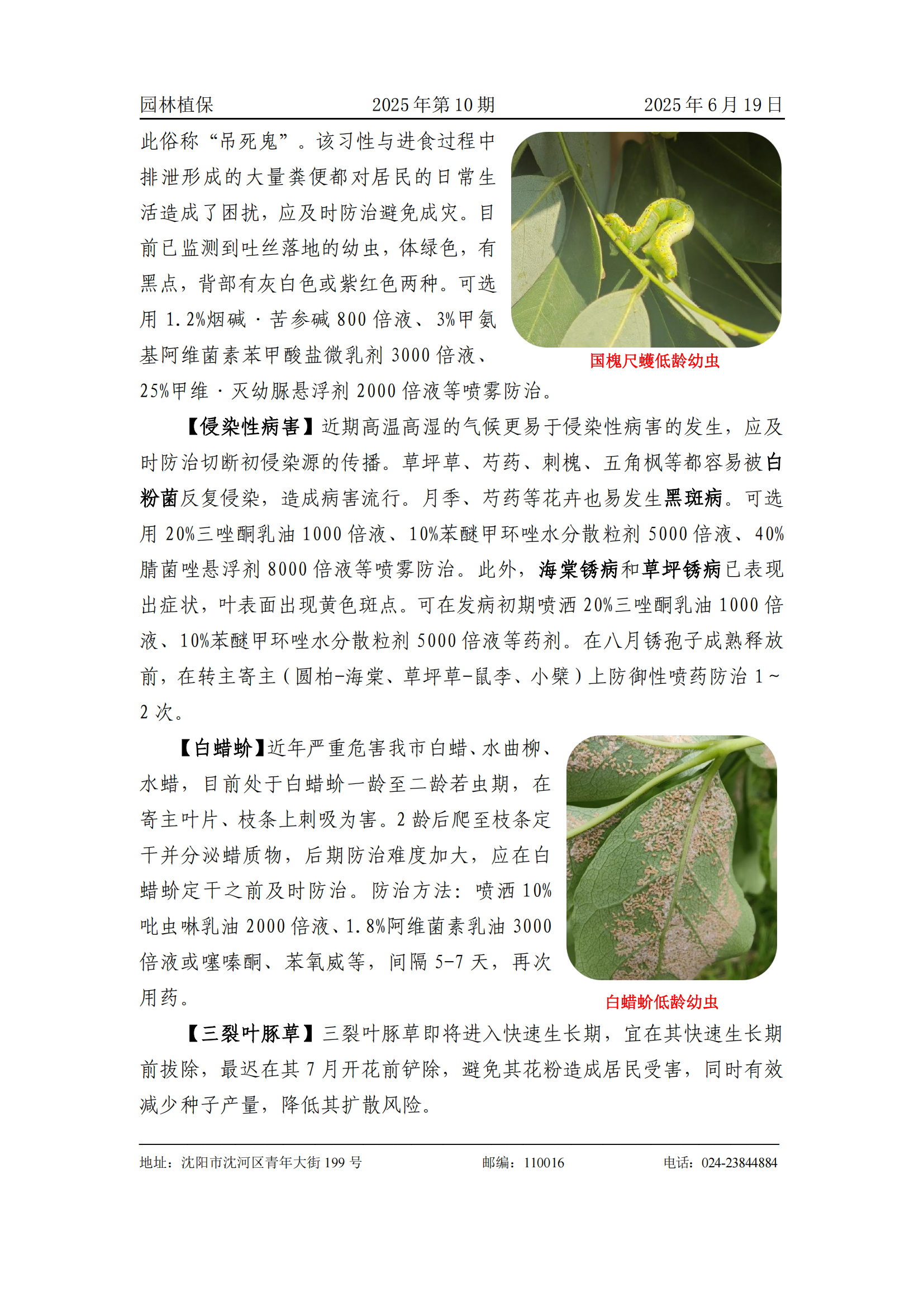 协会10_01.png