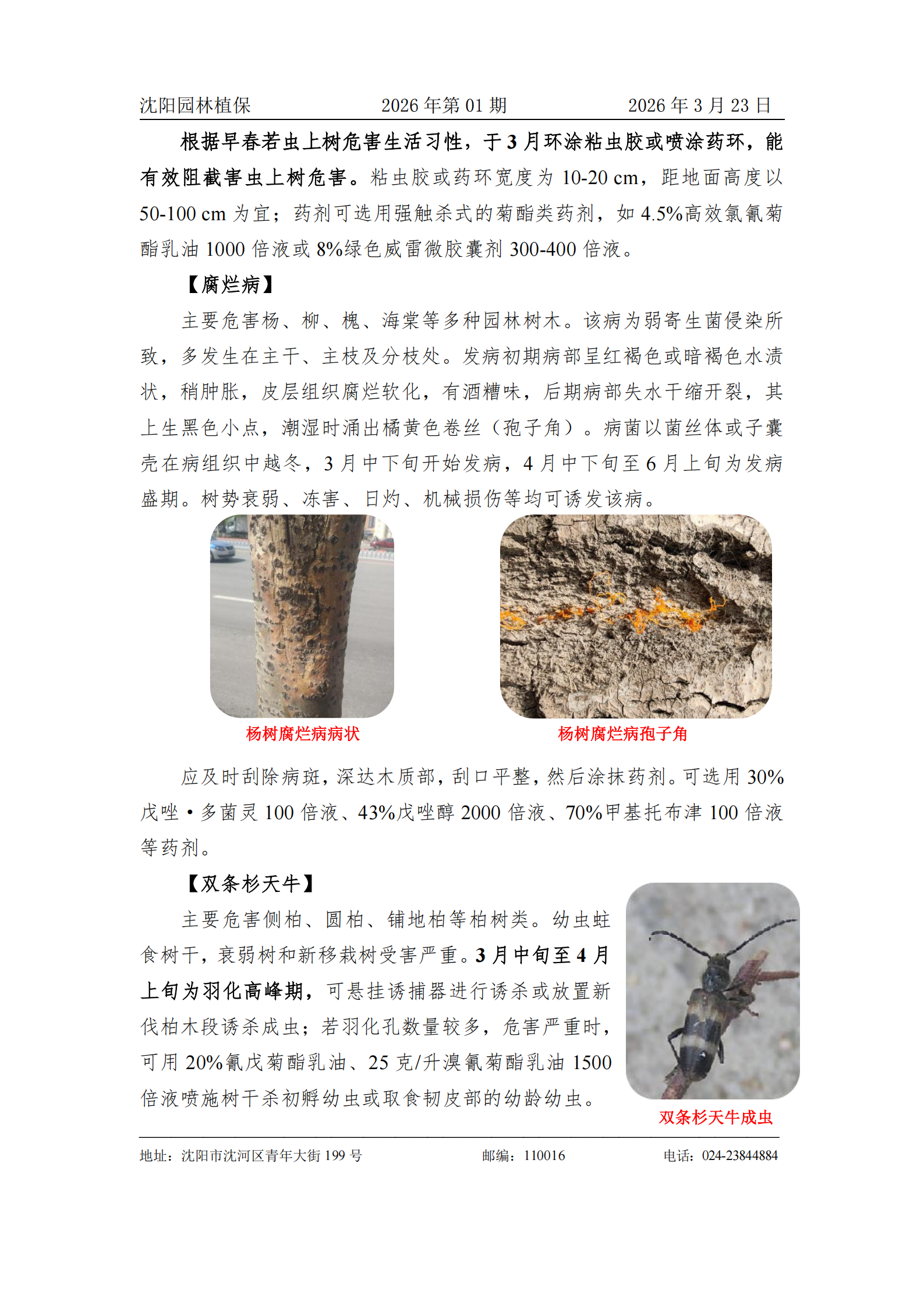 202601早春主要园林植保工作_02(1).png